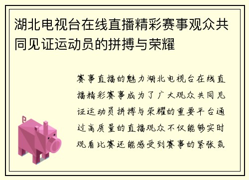 湖北电视台在线直播精彩赛事观众共同见证运动员的拼搏与荣耀